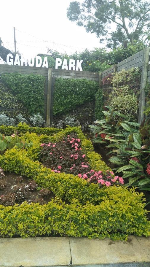 Garuda Park Resort 코타지리 객실 사진